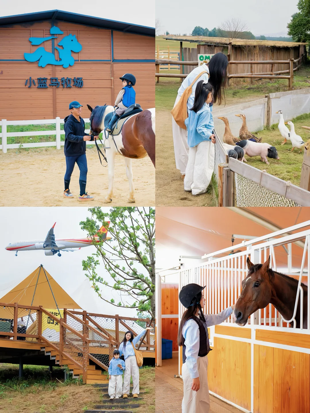 成都遛娃新地标‼️0.5h直达的亲子牧场乐园~