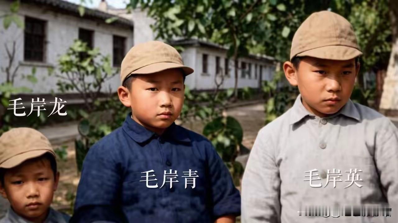 第一张是毛岸英、毛岸青、毛岸龙三兄弟幼年在革命根据地的模样；第二张是珍贵历史老照