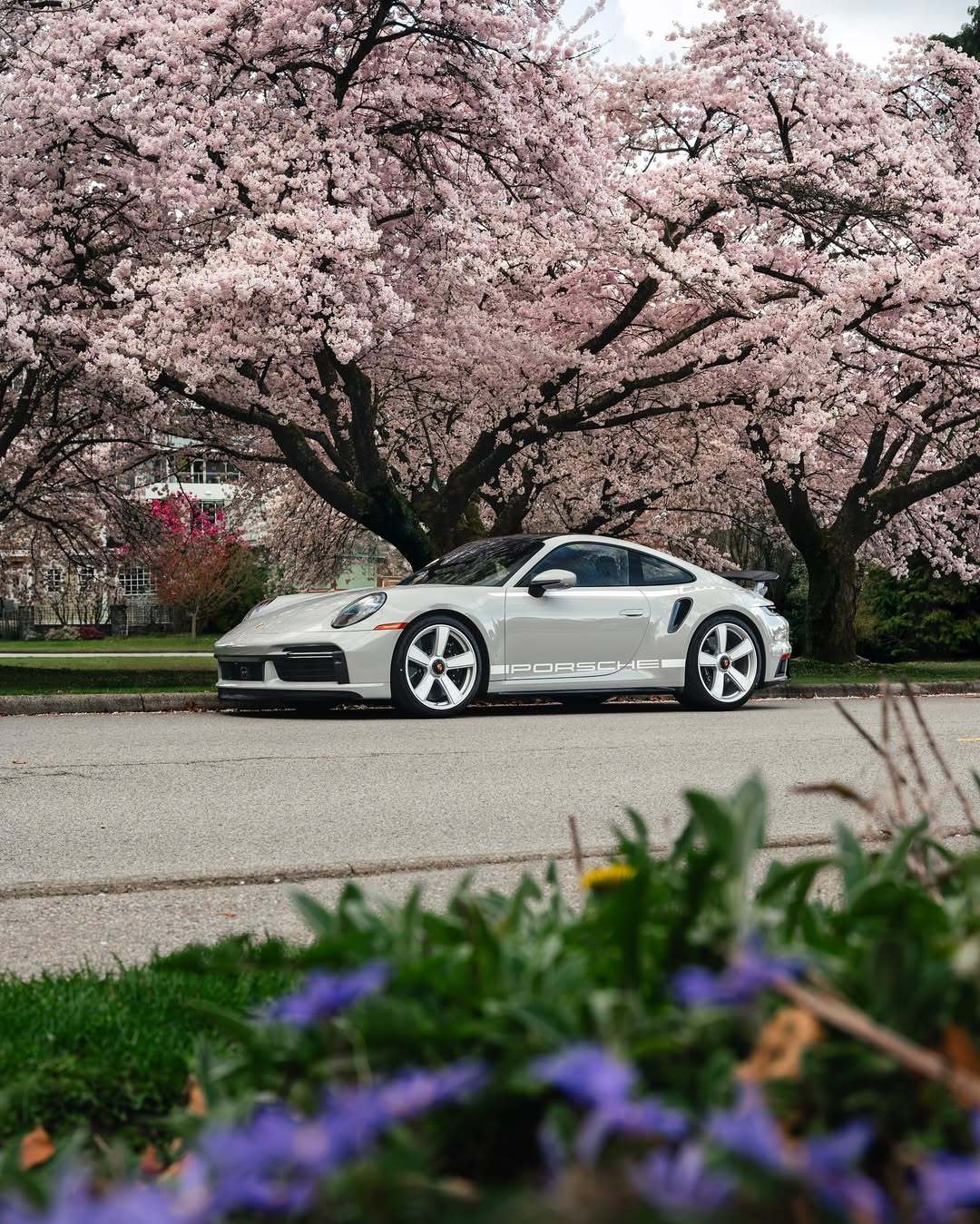 Porsche911Turbo50years​​​