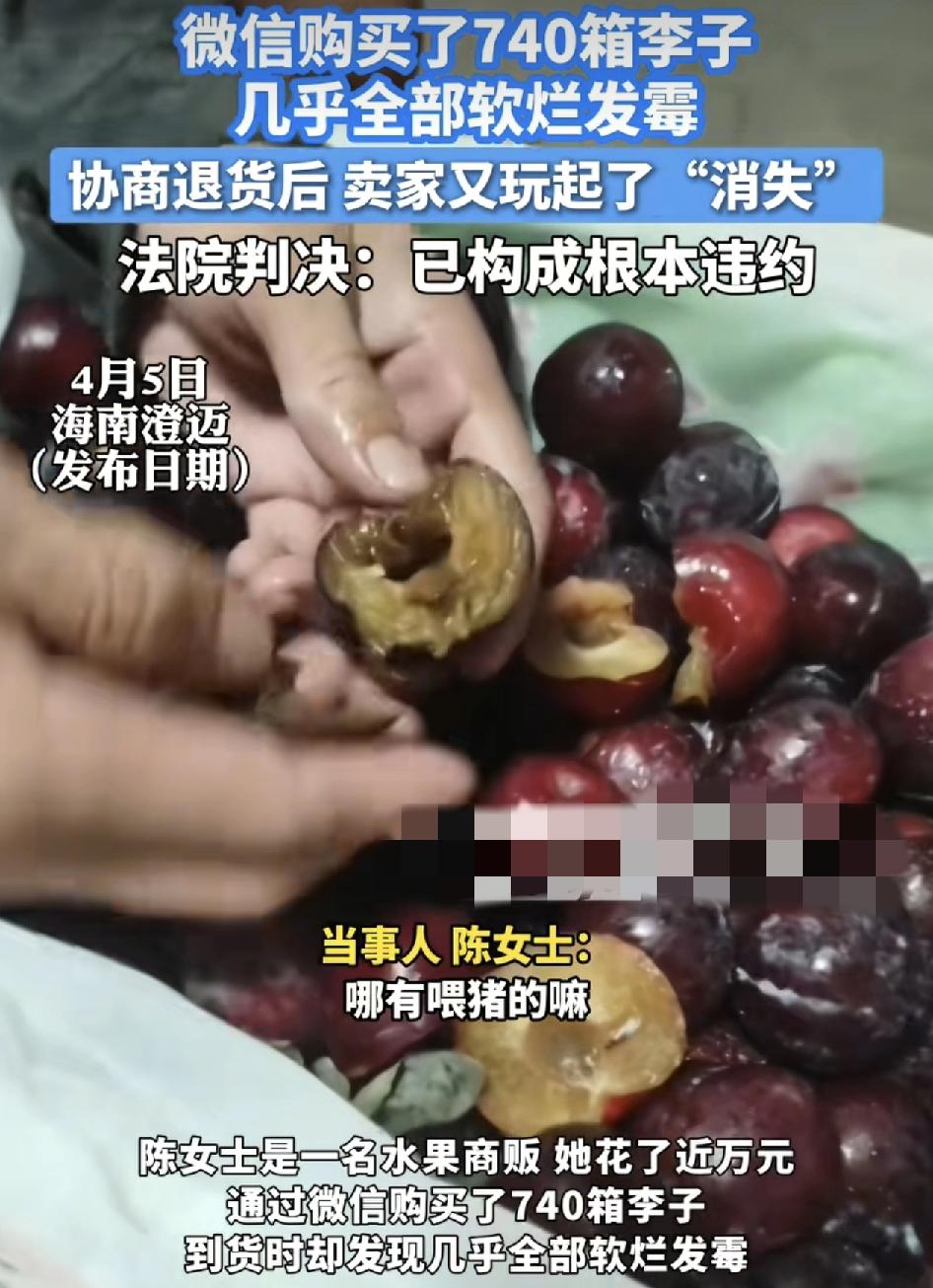 海南海口一水果摊贩通过网络花了上万元购买了740箱车厘子，收到货之后发现所有的果