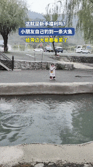 咱钓鱼界的新手福利能有多离谱？一小姑娘拿着鱼竿往塘边一杵，没一会儿就钓上条大鱼，