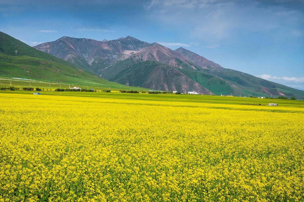 昨天跟一位南京高三的学生家长聊天，跟我聊天的意思就是希望周末的时候给孩子补课。我