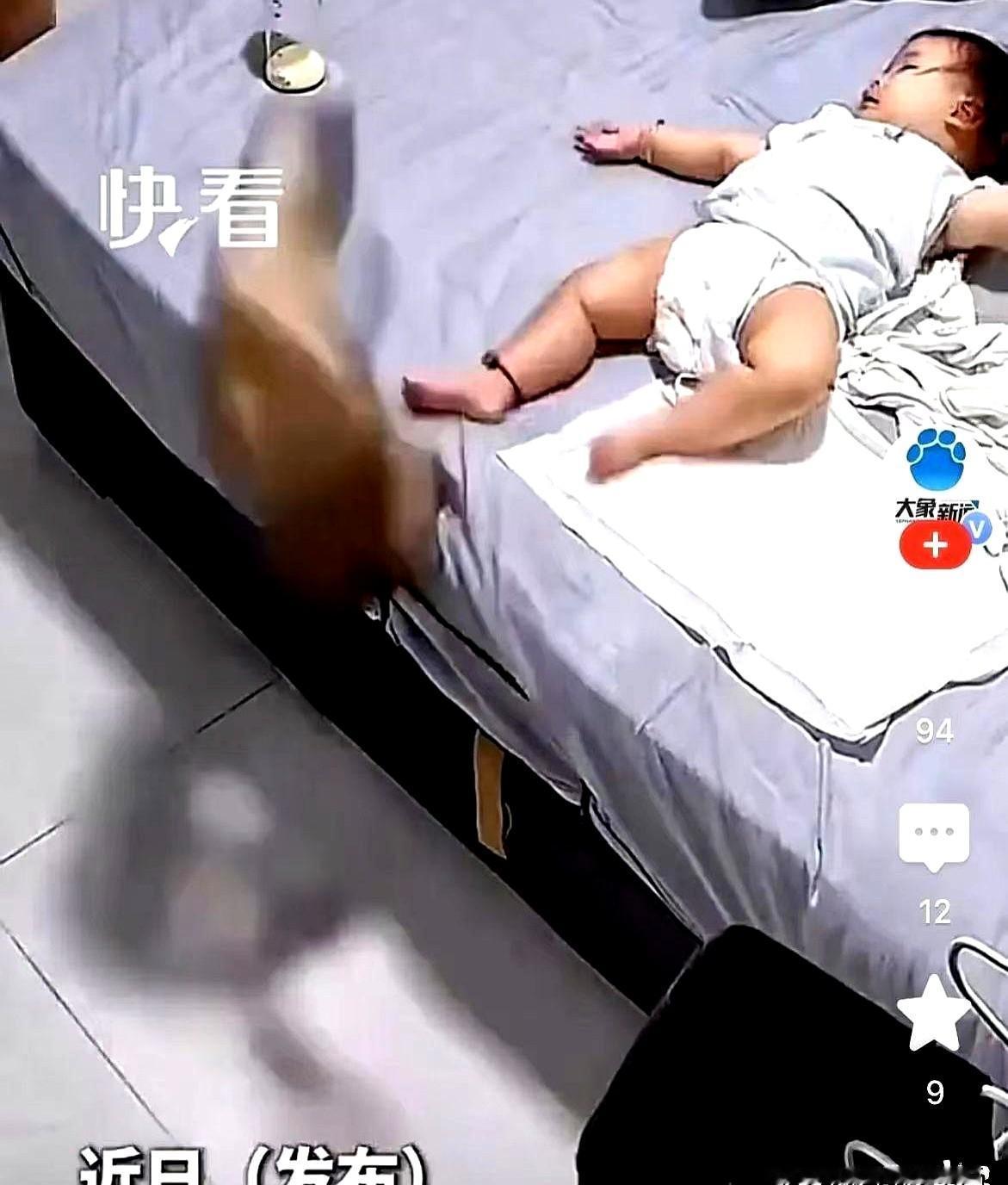 山东一户人家的监控，这两天在网上传疯了。猫咪锁定床铺发力腾空，半路撞见床上躺着