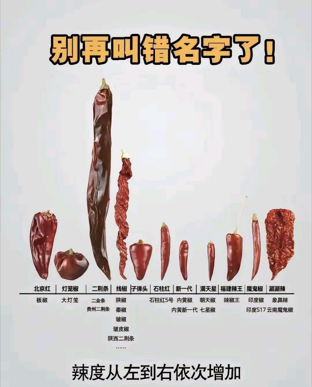 你比较喜欢吃那种辣椒？