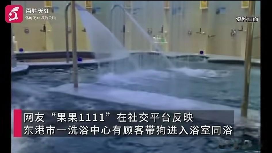 前几天是带狗进餐厅，现在又是带狗进浴池，真是没完没了了！一位顾客投诉有人把狗带