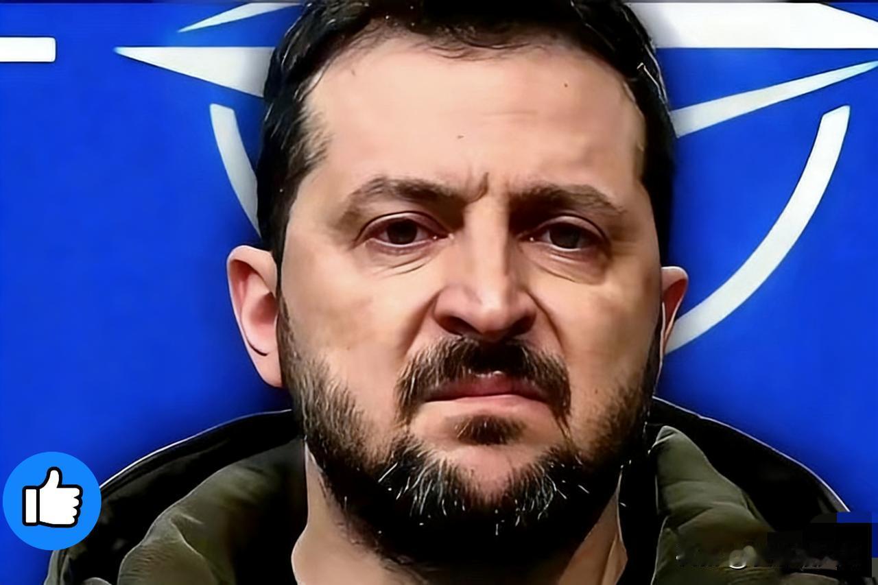 泽连斯基太“精”了，直接扔出了一个让美俄都目瞪口呆的王炸！他说，这仗打到最后，土