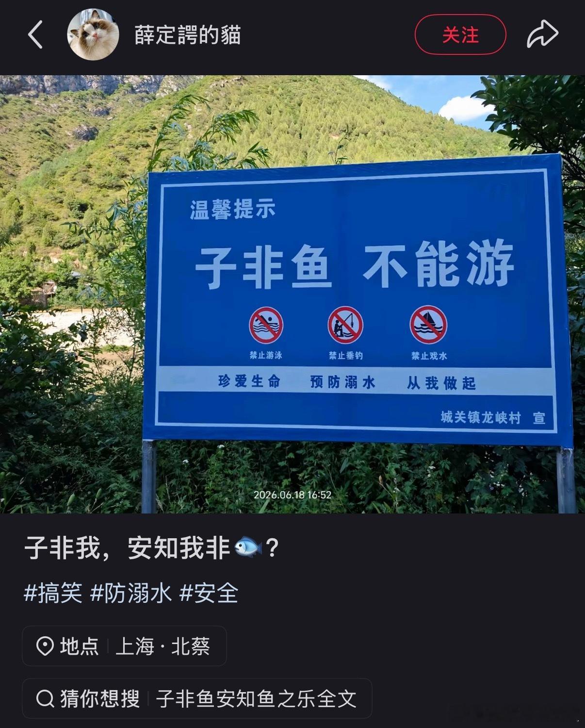 子非我安知我不能游