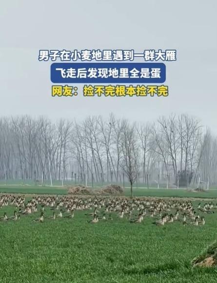 你有没有发现，有些人看到便宜，第一反应不是感恩，而是恨不得把人家老窝端了？3月6