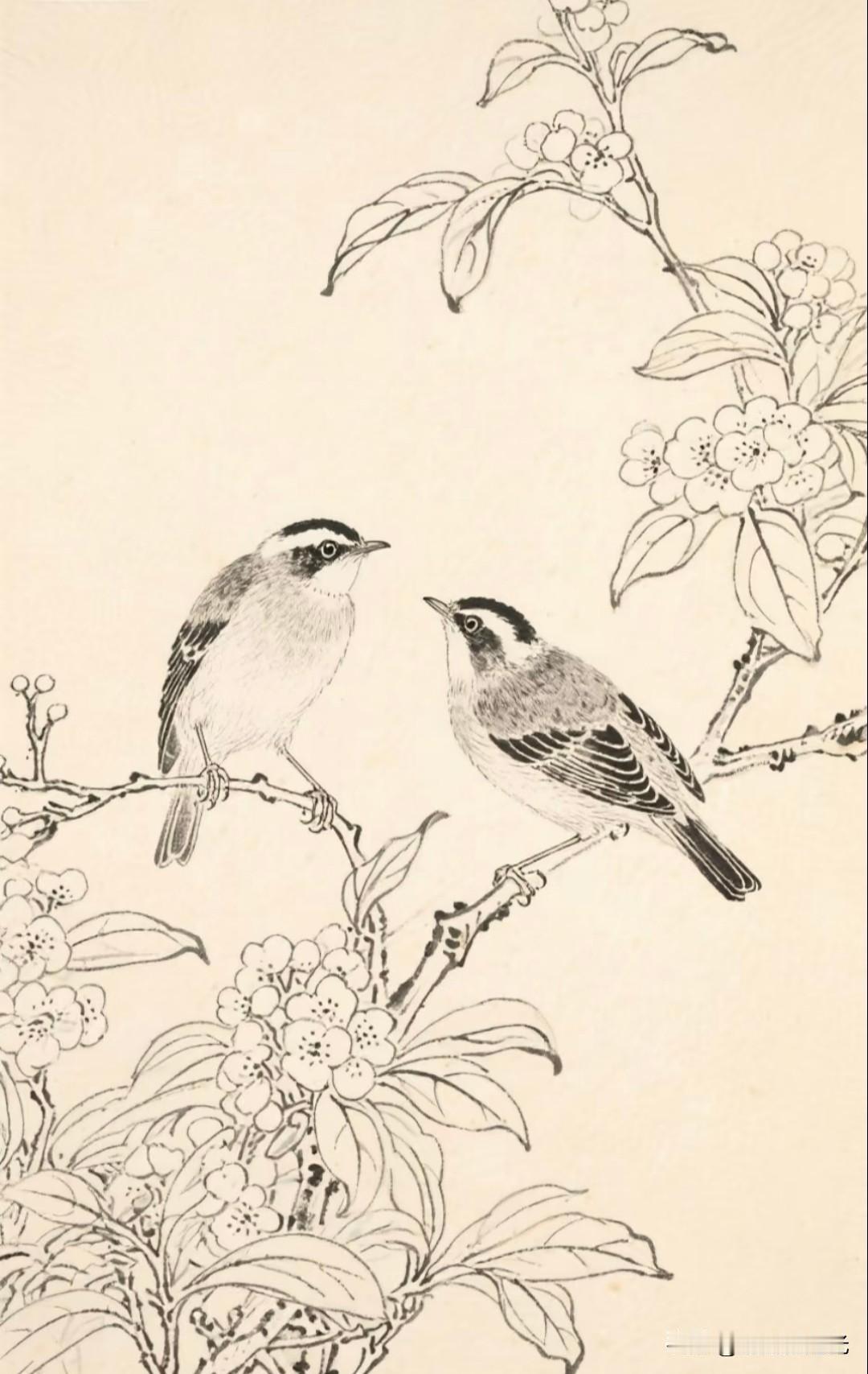 花枝栖雀两两相望，素墨绘尽春日清欢。成竟绘生活国风花鸟白描图分享花香鸟画花