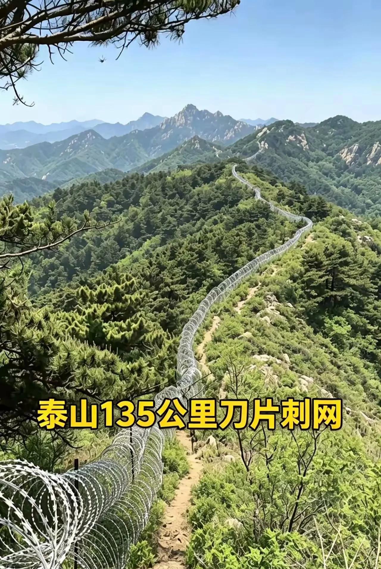 现在尴尬了！如果撤了，2千多万元白花了！如果不撤，舆情起来了！这种隔离网是最有杀