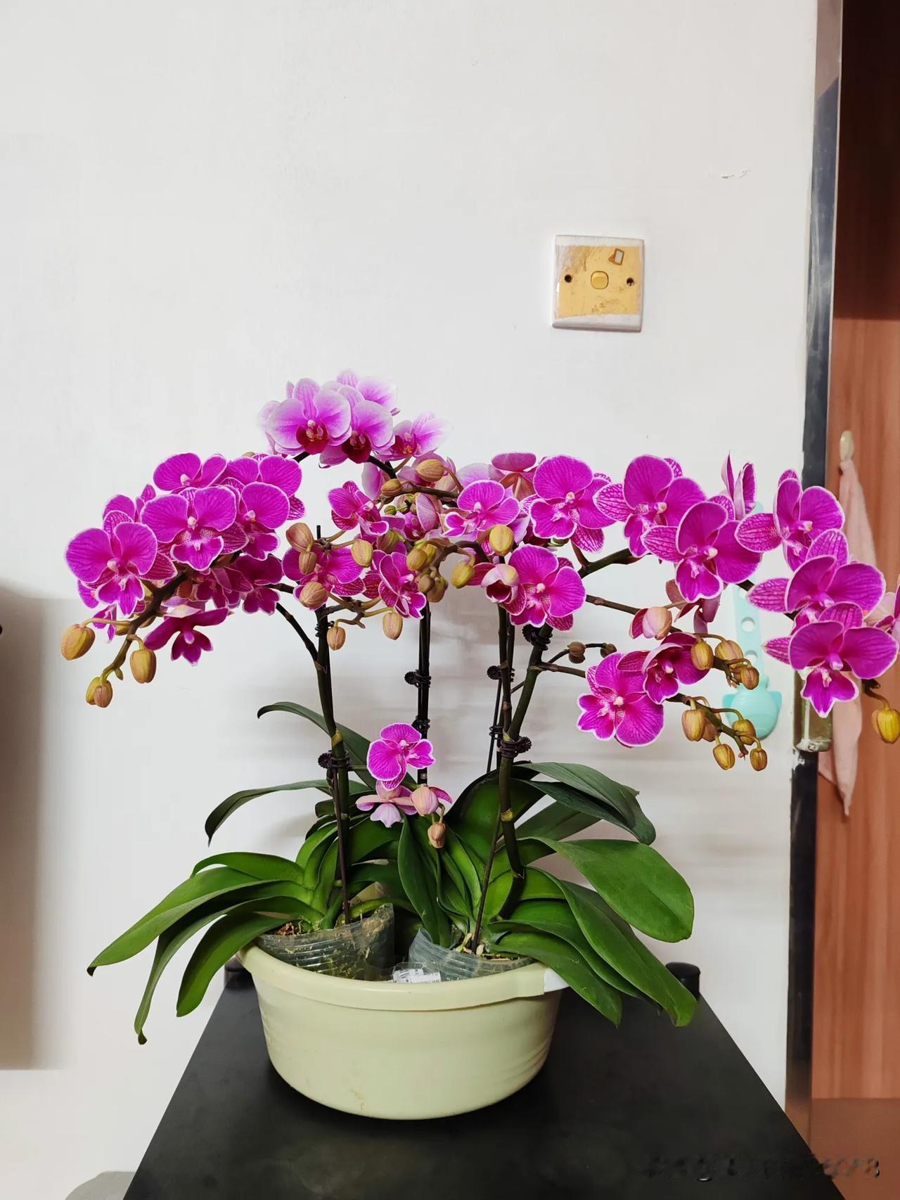 同学的女儿离婚了，离婚的原因很简单，同学的女婿每天早晚刷牙后，嘴角没洗干净，有白