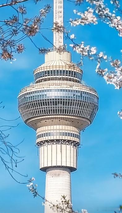 北京豆汁榜来了你敢挑战吗把豆汁儿这样的地域特色美食做成“挑战榜”，高德扫街榜精