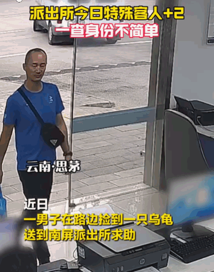无巧不成书！云南普洱，一热心群众意外踩到了两个长相怪异的“活体石头”。仔细一瞧，
