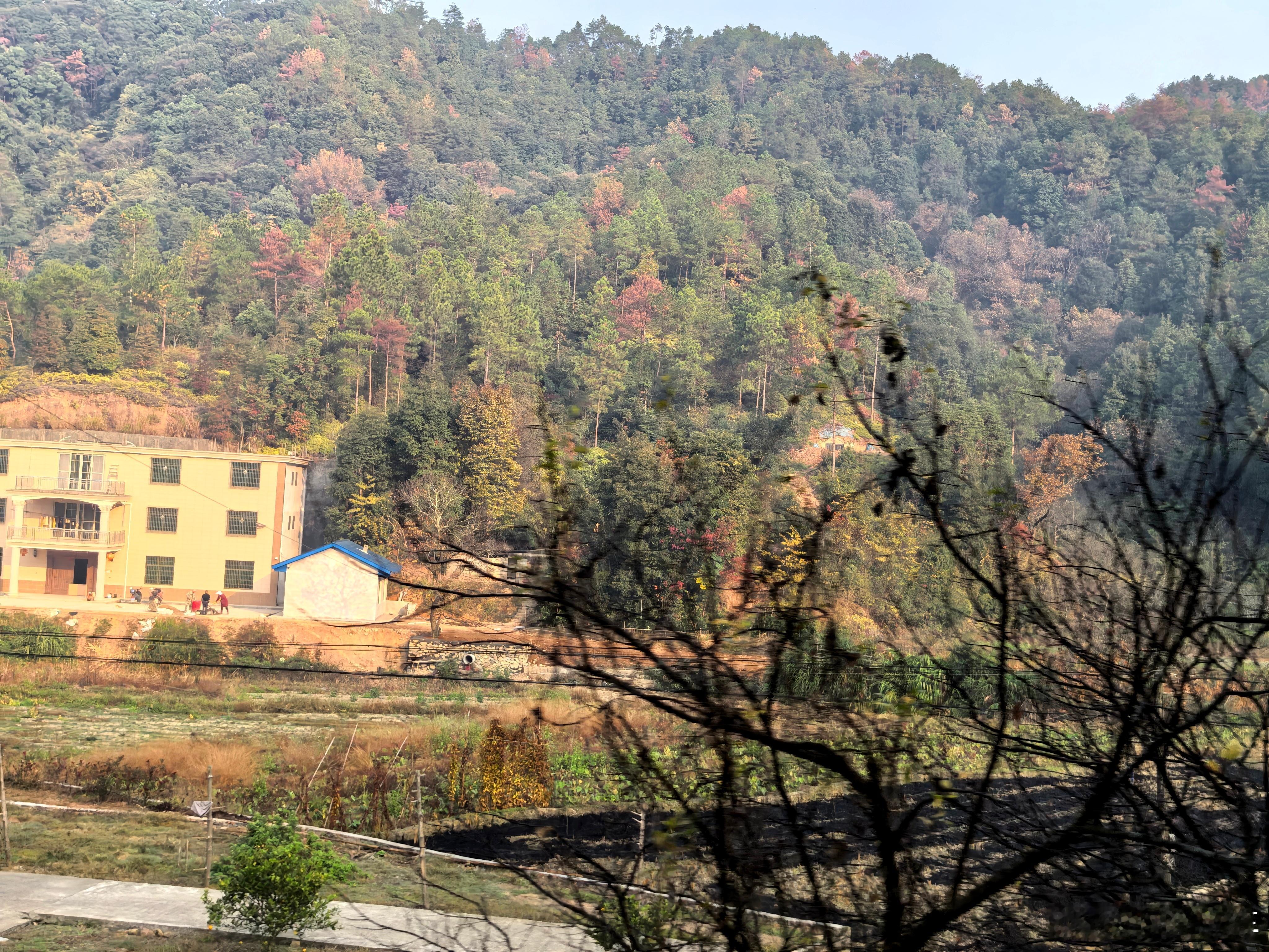 这一路风景好好看啊，手机根本没放下过狂按快门，坐蔚来ET5T里欣赏窗外风景，加上