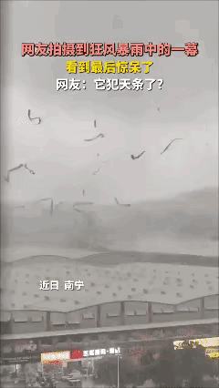 不得不说，大自然真的很神奇啊！[捂脸哭]