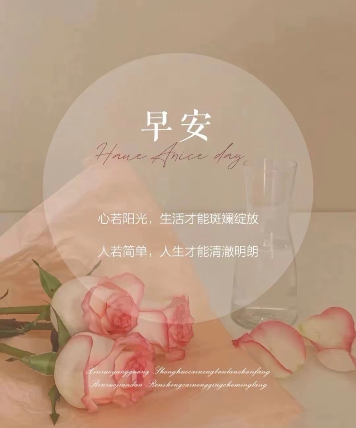 心若阳光，生活才能斑斓绽放，人若简单，人生才能清澈明朗。周三早安，愿日子温柔，万