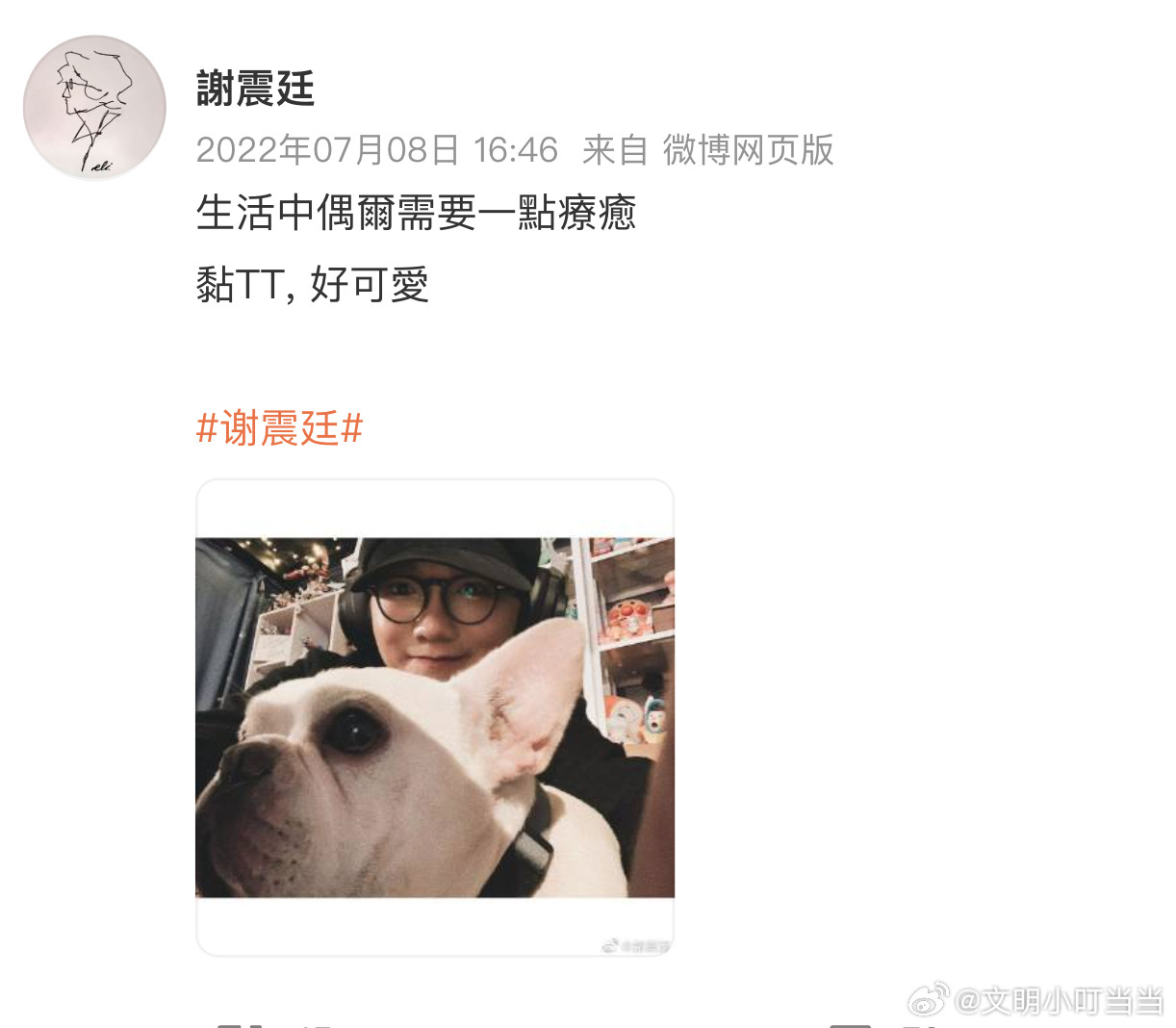 谢震廷自首关爱小动物养猫养犬的艺人，人品不会差。