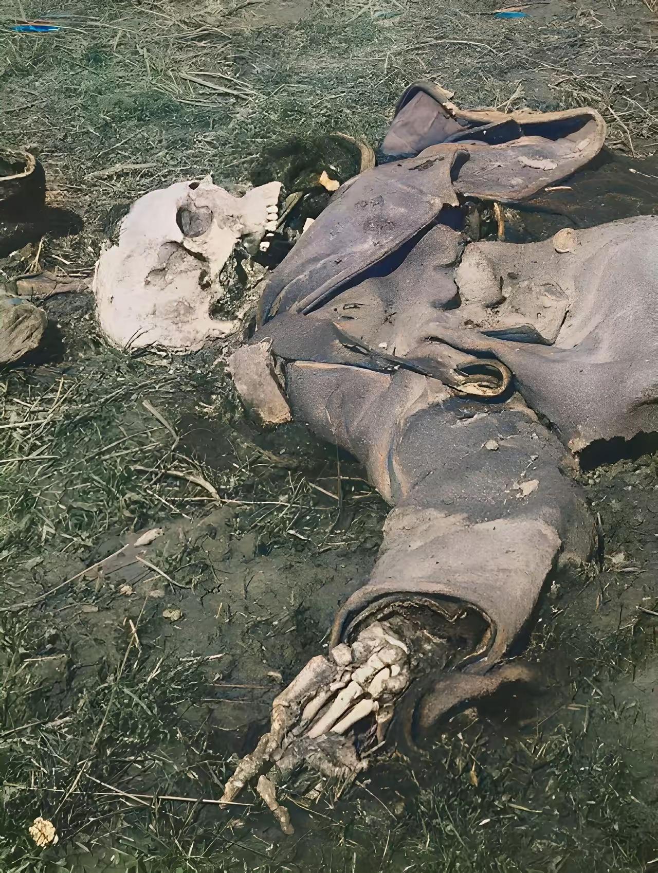 这是1914年10月在伊普尔战役中死去的一名德军士兵。随着时间的流逝，这名士兵的