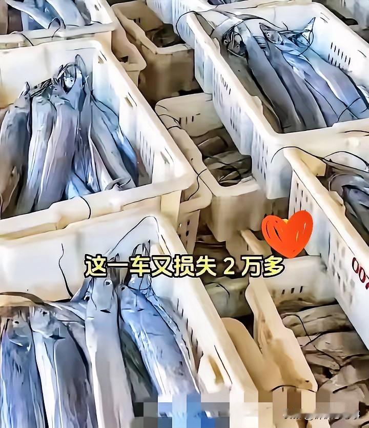 今年中秋节，资本全都傻眼了——现在的年轻人，根本就割不动。你看那超市货架，高