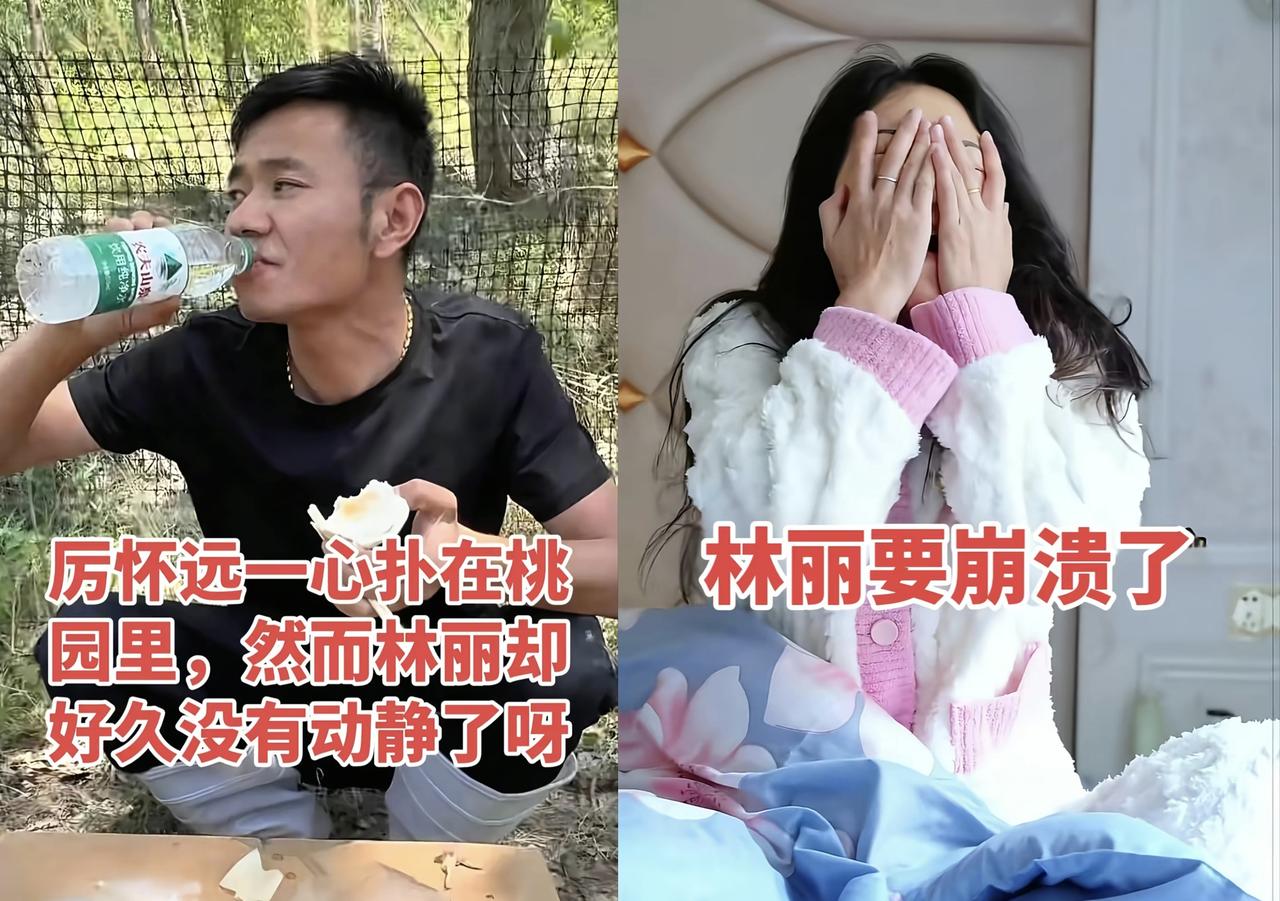 厉怀远终于对林丽昨天的发文做出回应了厉怀远在他昨天发布的视频留言区回应关于对