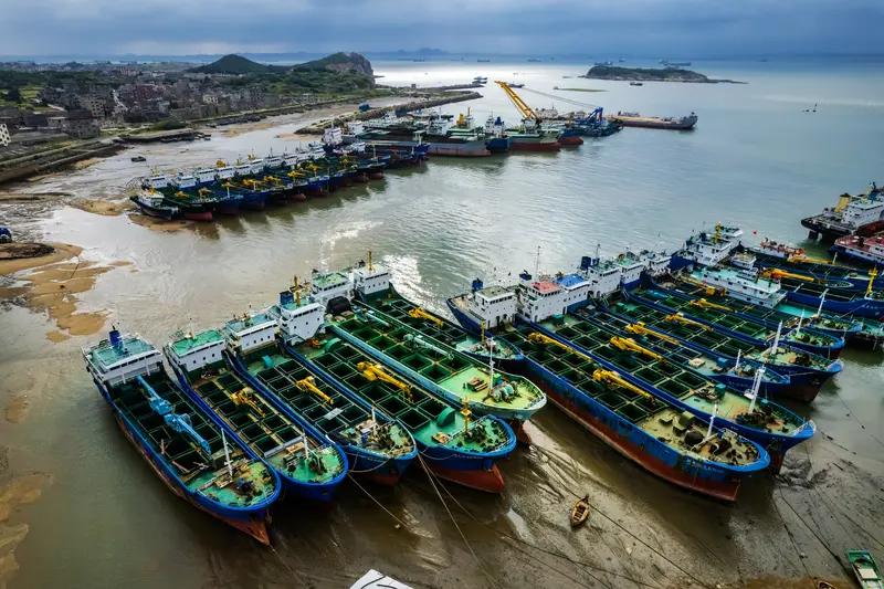 一个种树的上市公司，连年亏损，股价却涨上了。平潭发展十天九板，这是什么概念，