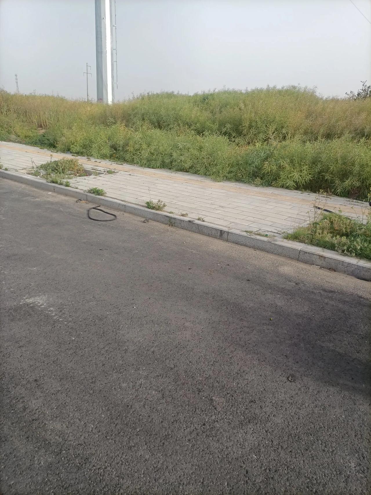水肿与氨氯地平的故事体检发现血压高，医生开了氨氯地平。服药三周后，我发现脚踝