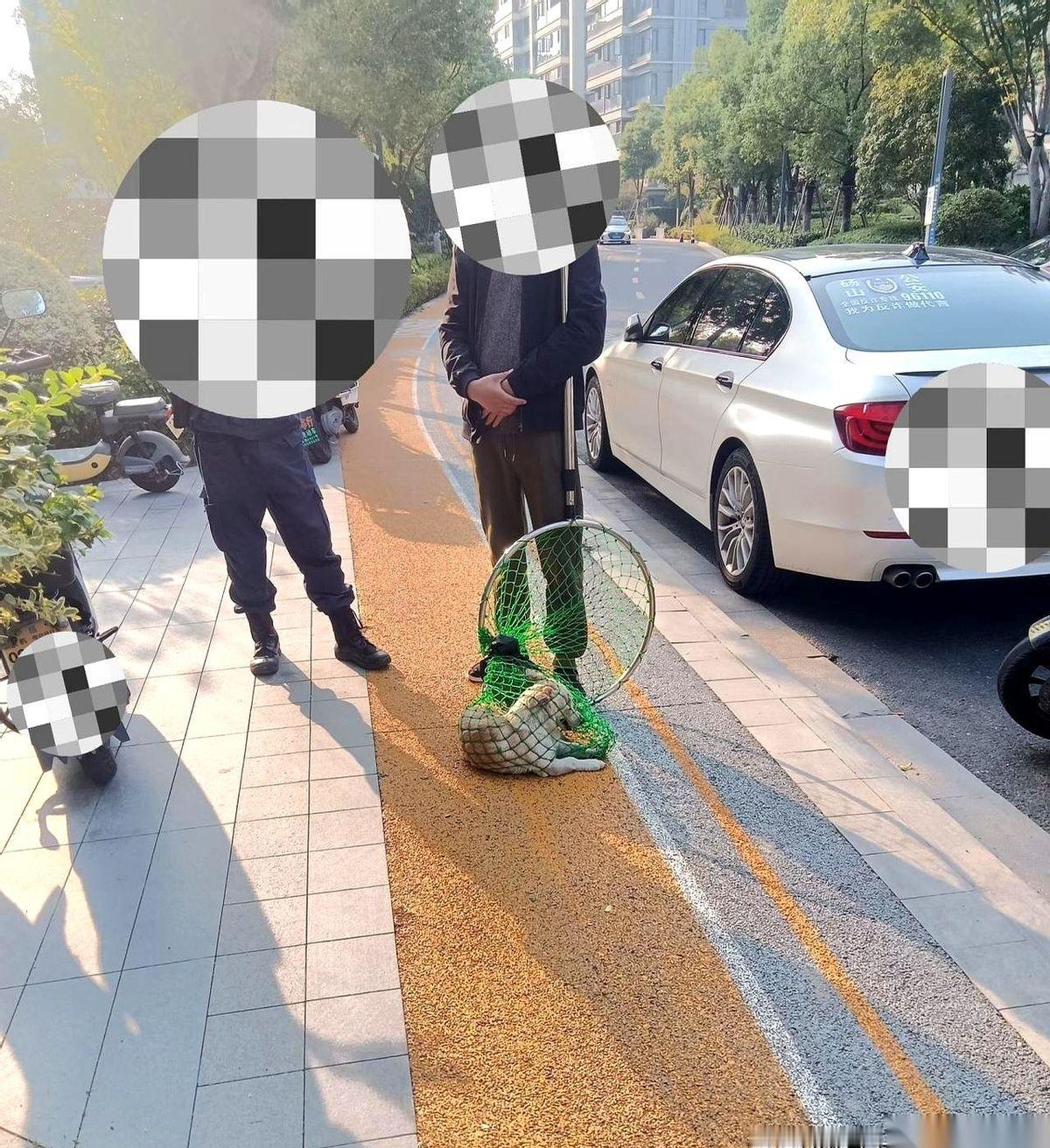 真的，看到它被网兜套住的那一刻，我心都揪紧了。一只乖到离谱的小白狗，全程不叫不