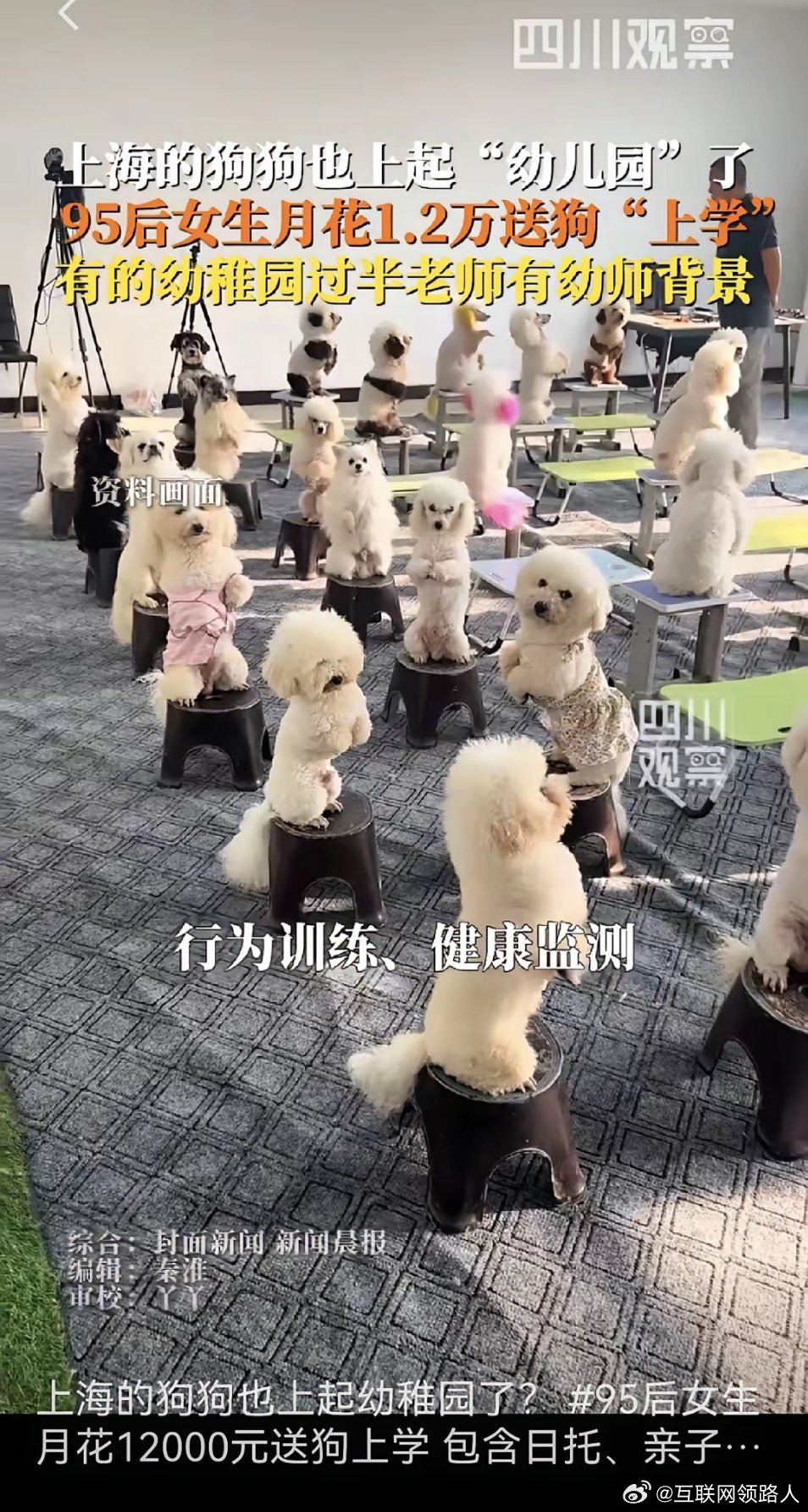 这世界怎么变得越来越让人看不懂了！今天刷到个视频，上海有位姑娘每个月花1.2万，