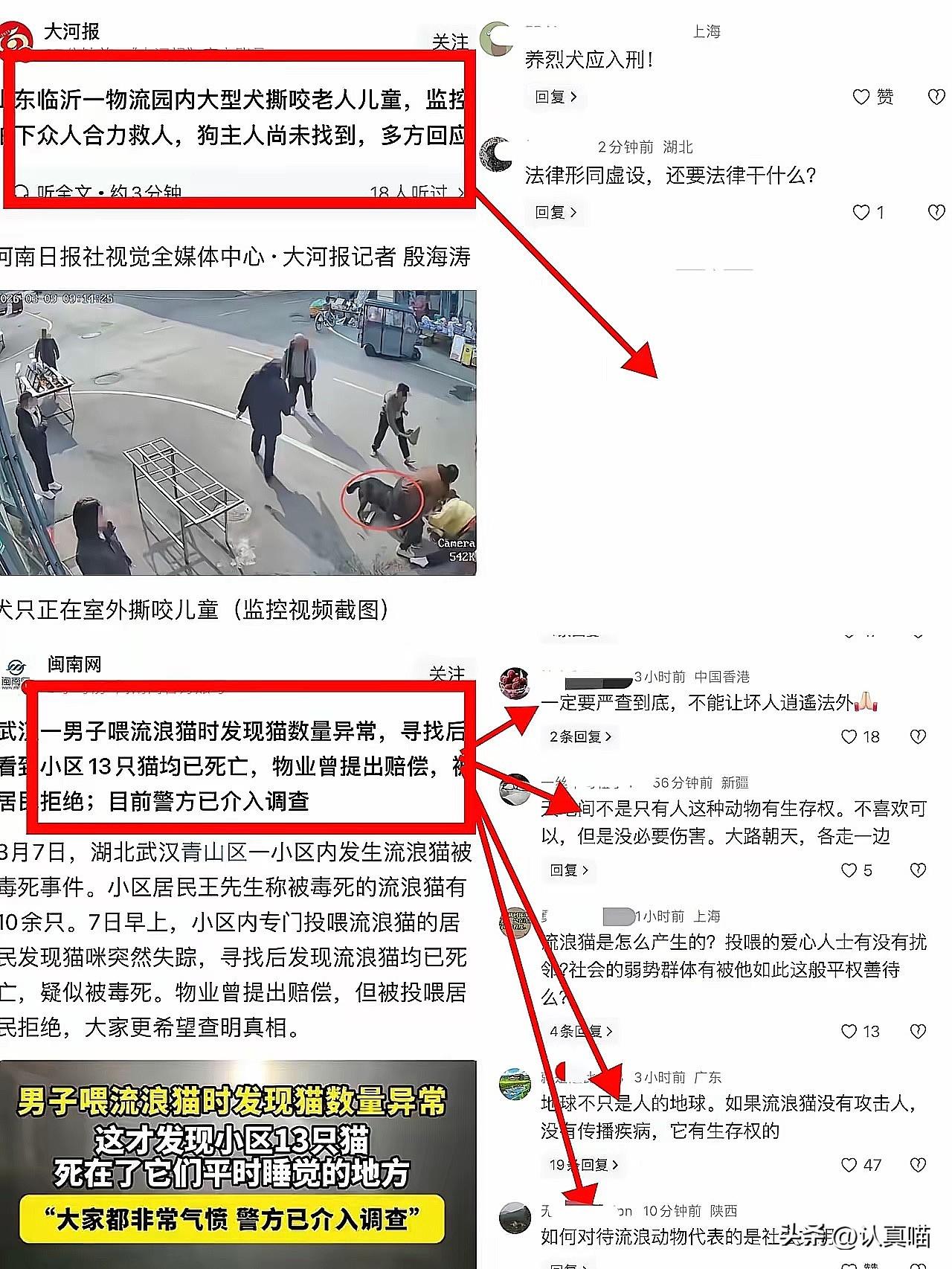 山东大型犬撕咬老人，评论区一片寂静；武汉流浪猫数量异常，动保人士瞬间炸锅。同样是