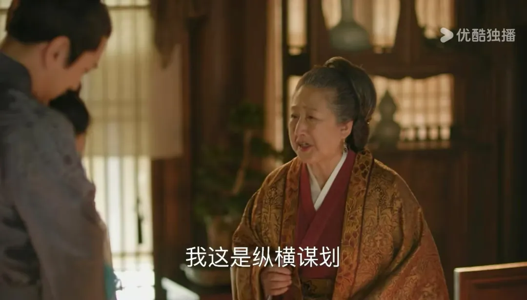 《知否》王家老太太从来就没打算救大娘子王若弗,她心中想着的只有康姨妈