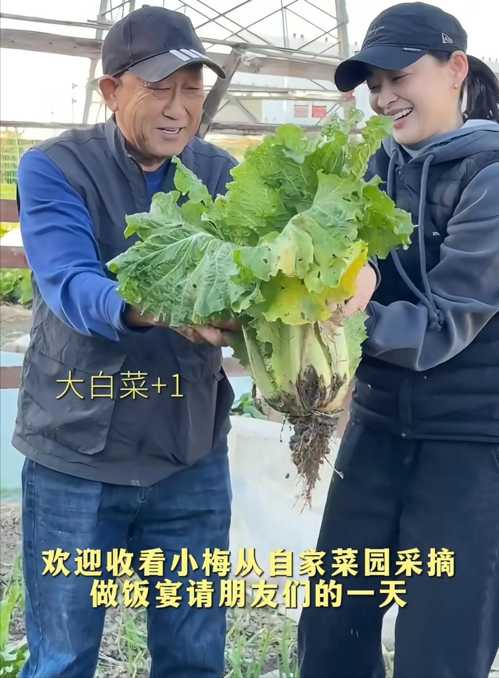 梅婷在自家菜园子帮公公干活！素颜出镜，拿锄头翻地种小白菜，还用筛过的羊粪做肥料，