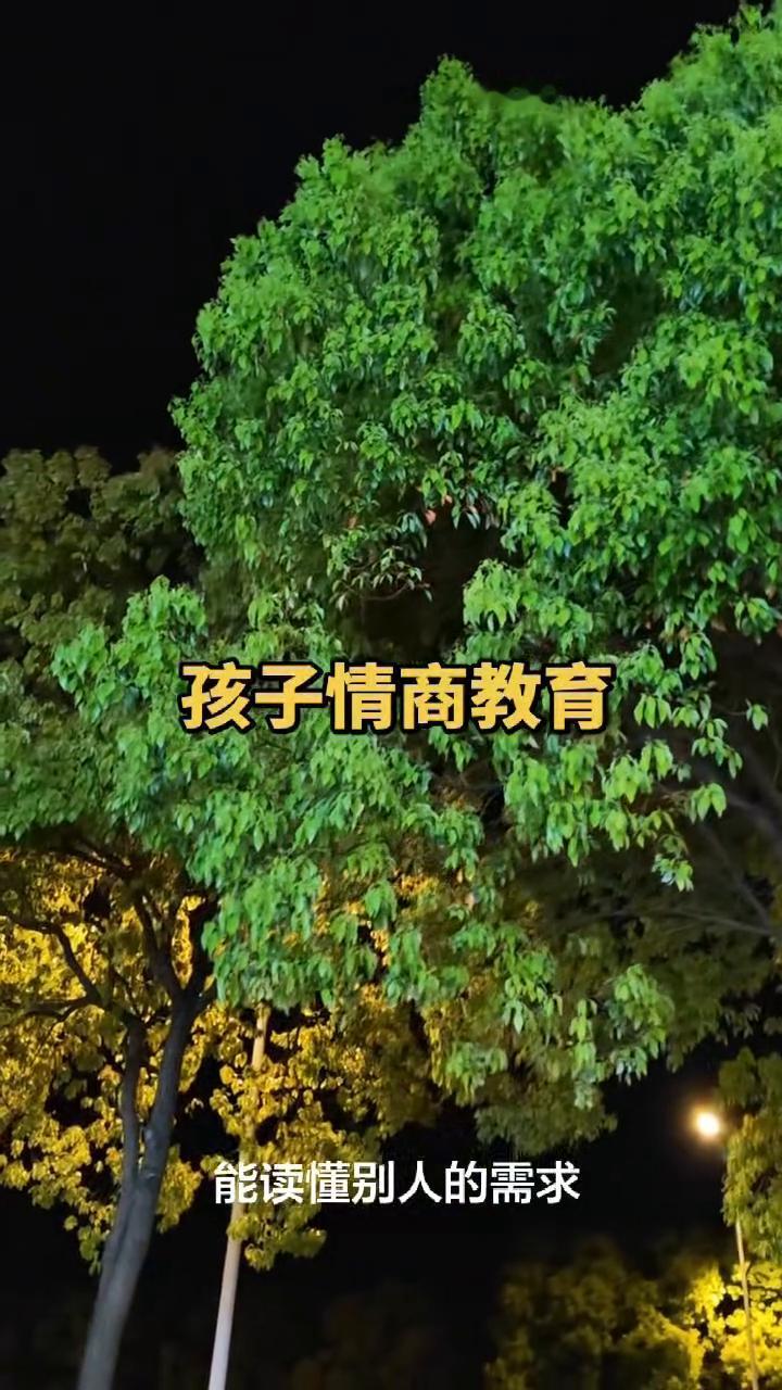 孩子情商教育。情商比智商更重要。什么叫情商？会沟通、会表达、会察言观色，拥有强