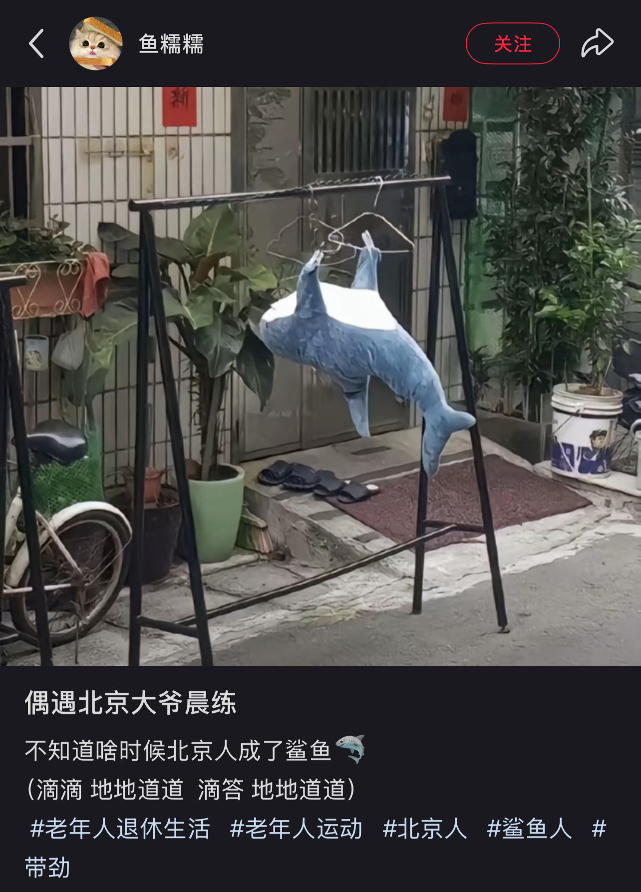 偶遇北京大爷晨练​​​