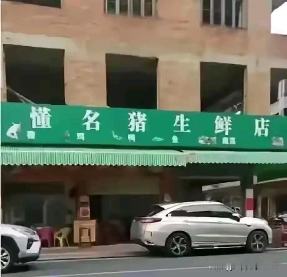 “懂名猪生鲜店”与“董明珠健康家”两家店，你会选择哪一家，我会毫不犹豫选择“懂名