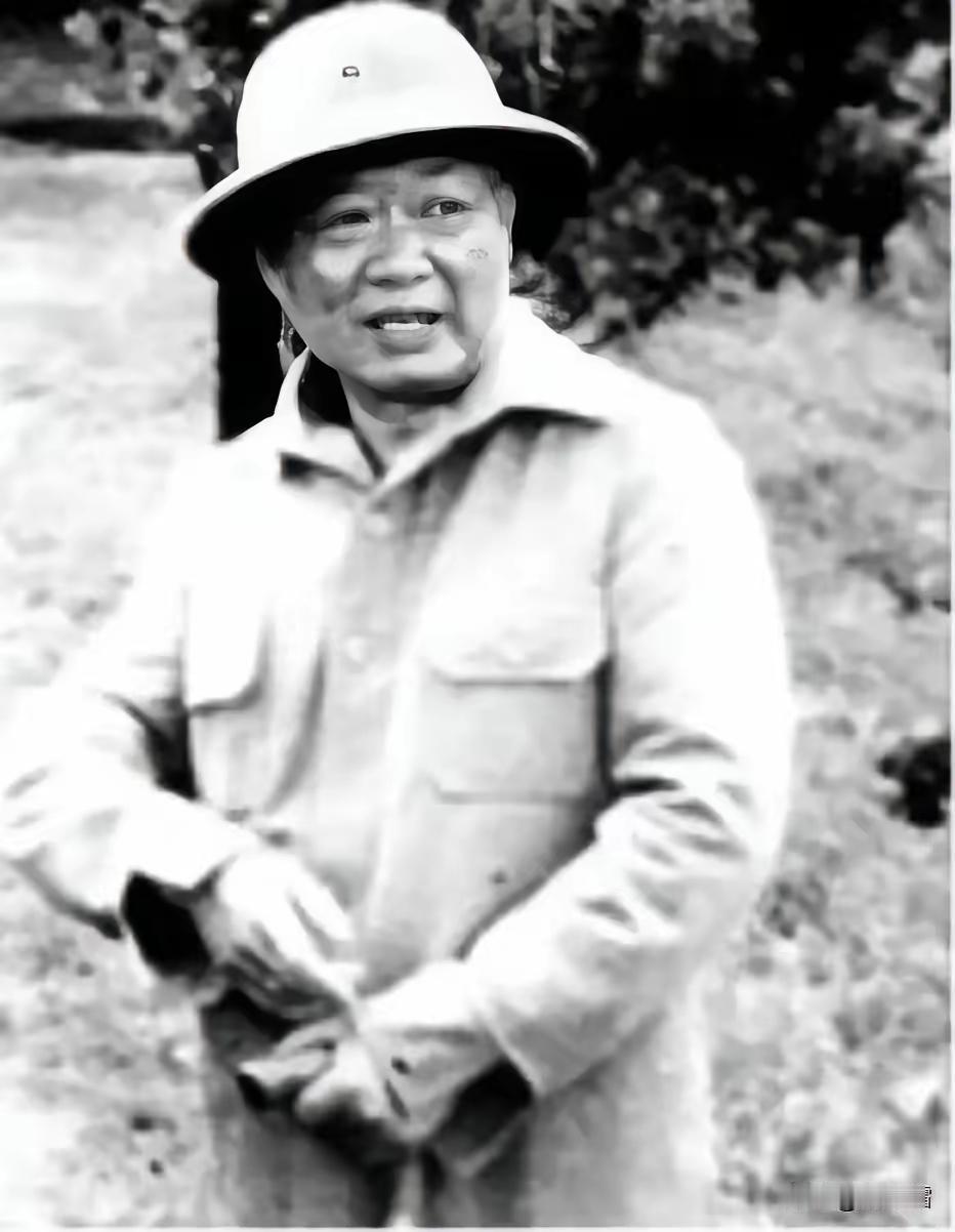 1964年，泰北美斯乐的局势走到了最微妙的一步。段希文为了保全手下数千残军和随军
