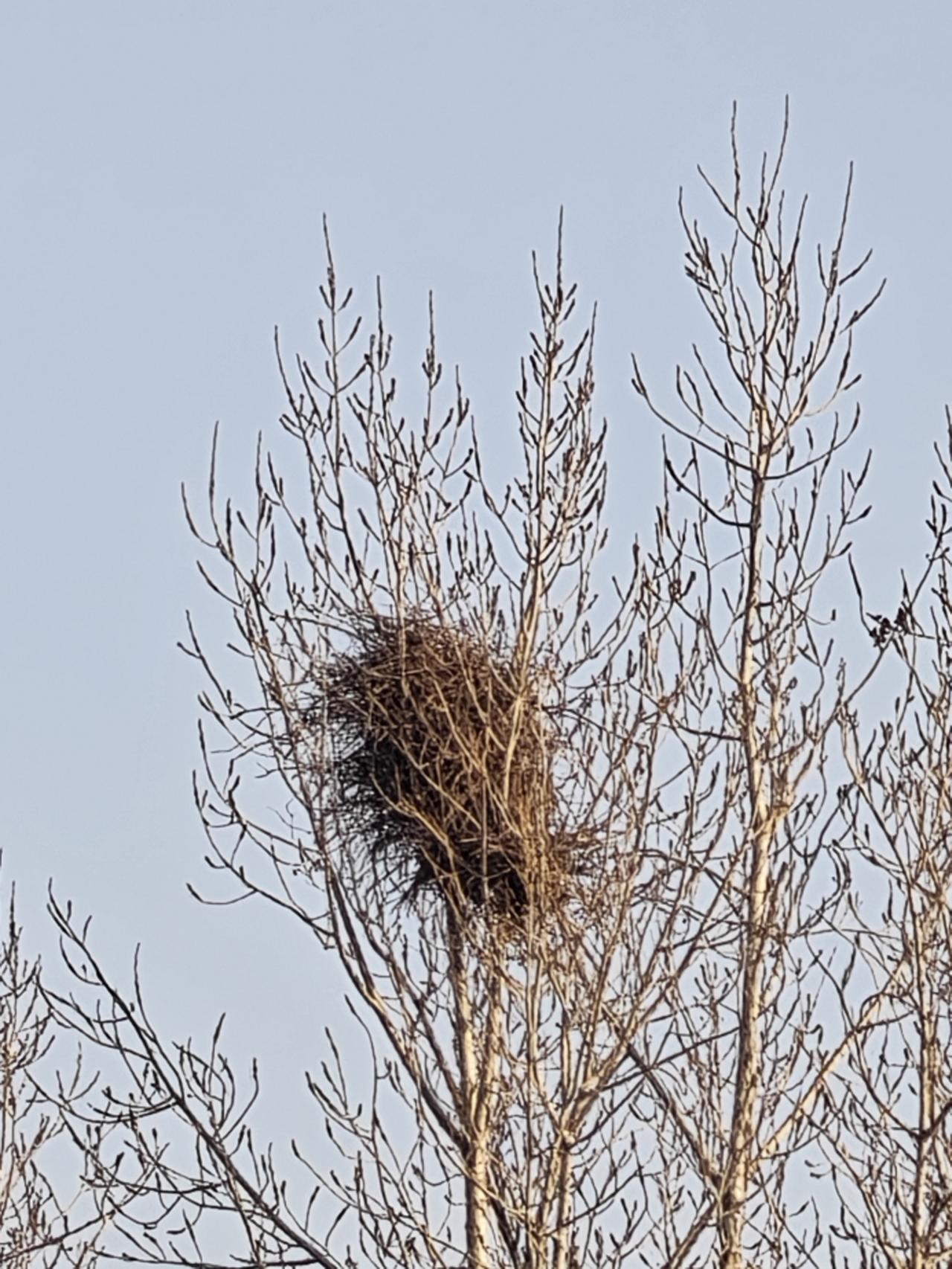 DeepSeek招人去内蒙草原“守机房”最近AI圈被一则消息炸翻了，DeepS