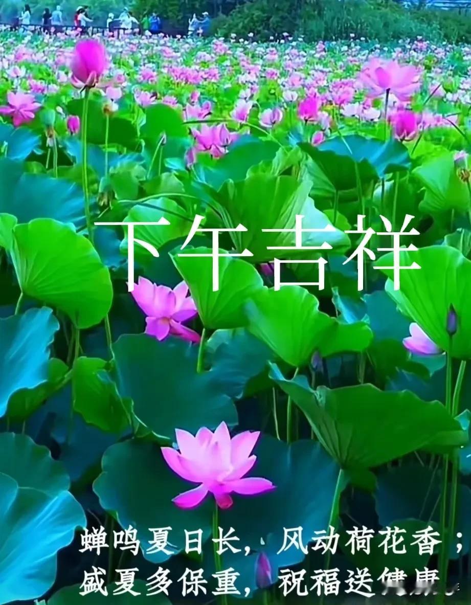 炎炎夏日送你：[玫瑰][玫瑰]一份真诚，两份问候，