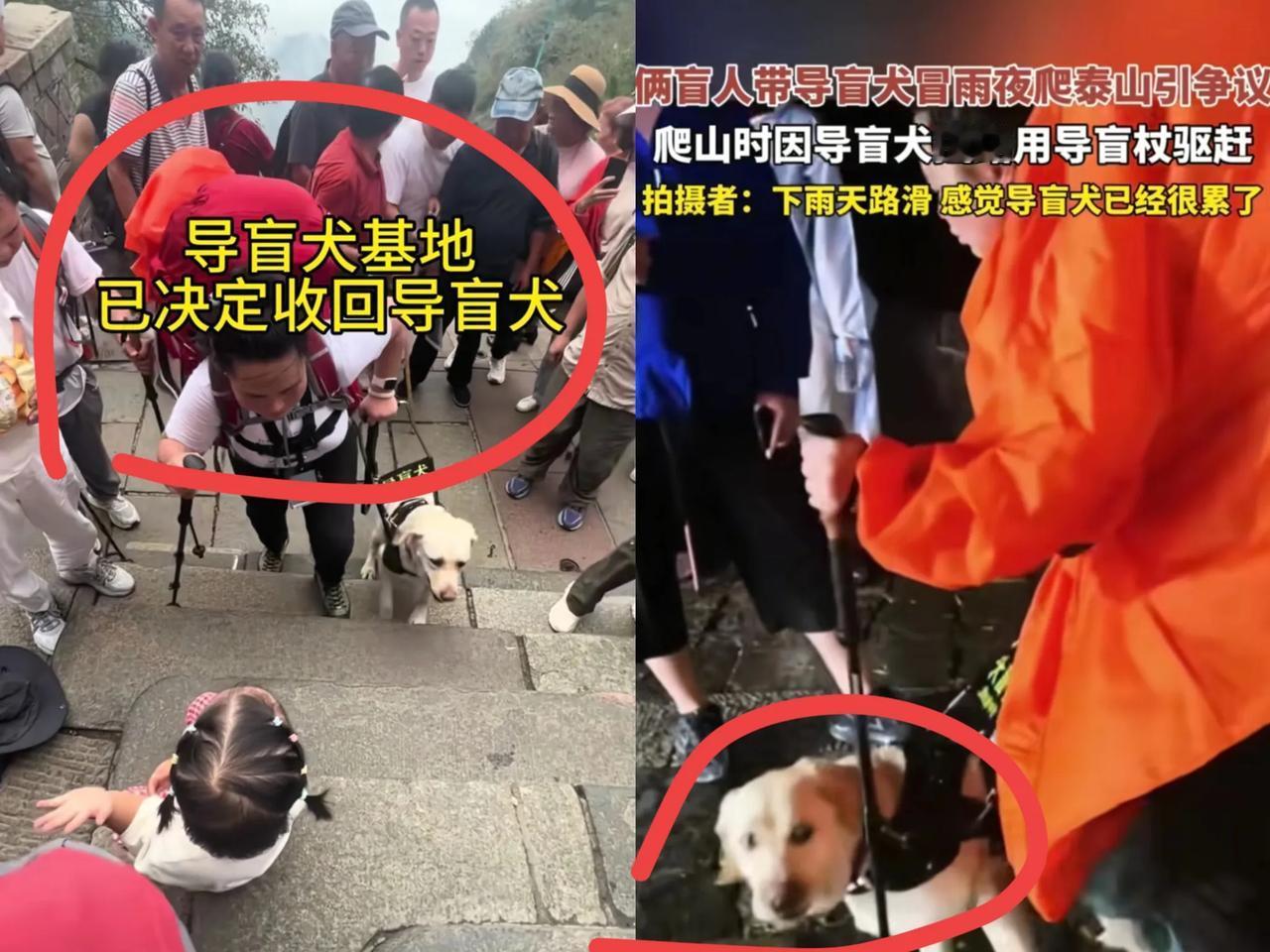 给基地点赞，回应迅速，决策果断，及时收回导盲犬。我养狗的，看到那俩盲人的做法，气