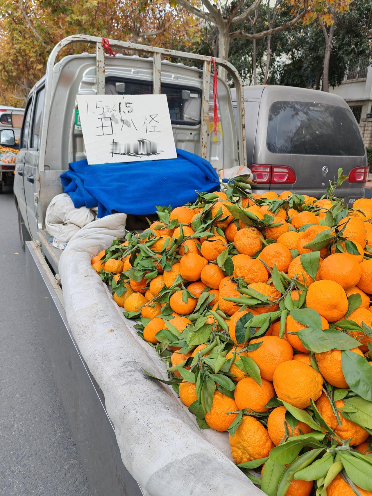水果比天气还冷12月2日，陕西西安。此刻路过，我发现街边小摊今年的柑橘类水果基