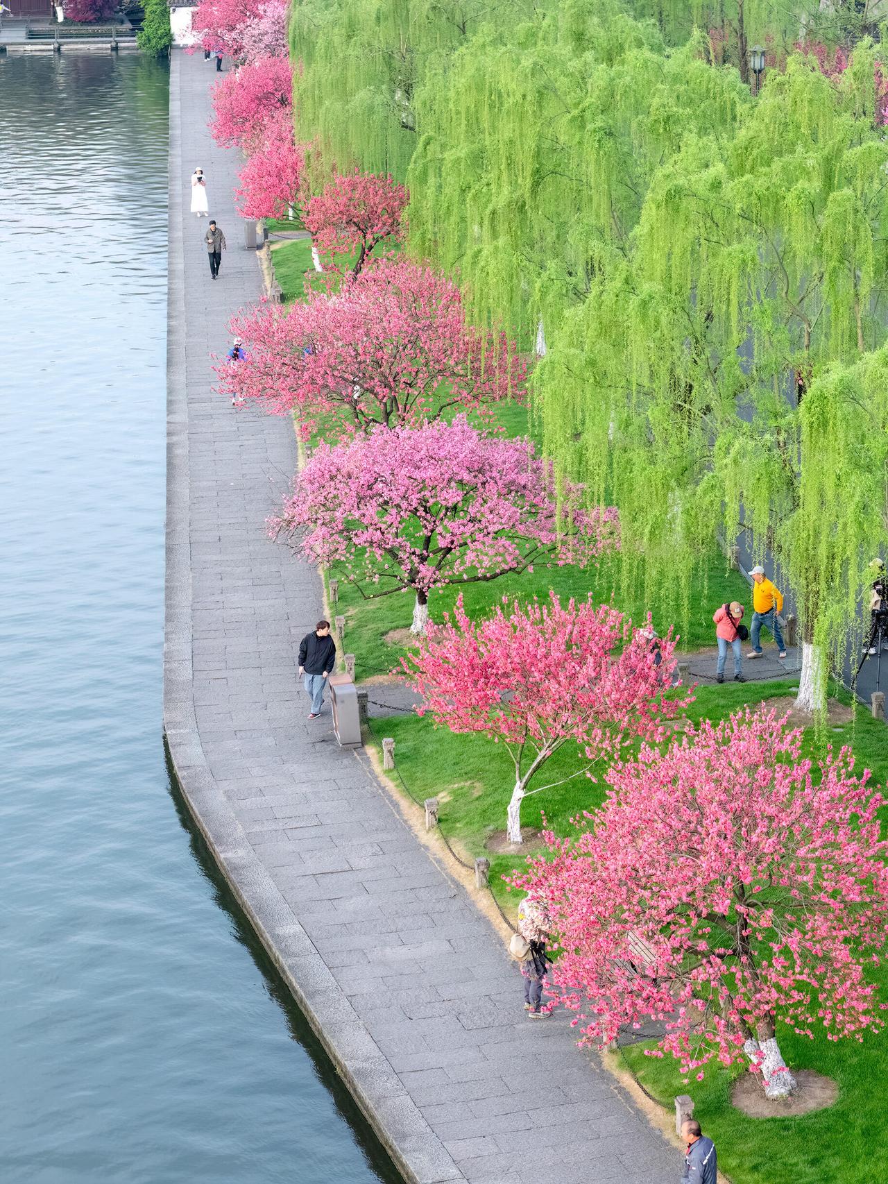 柳丝垂绿，春意漫过苏堤。风里都是江南的软，一步一景，皆是人间好时节。