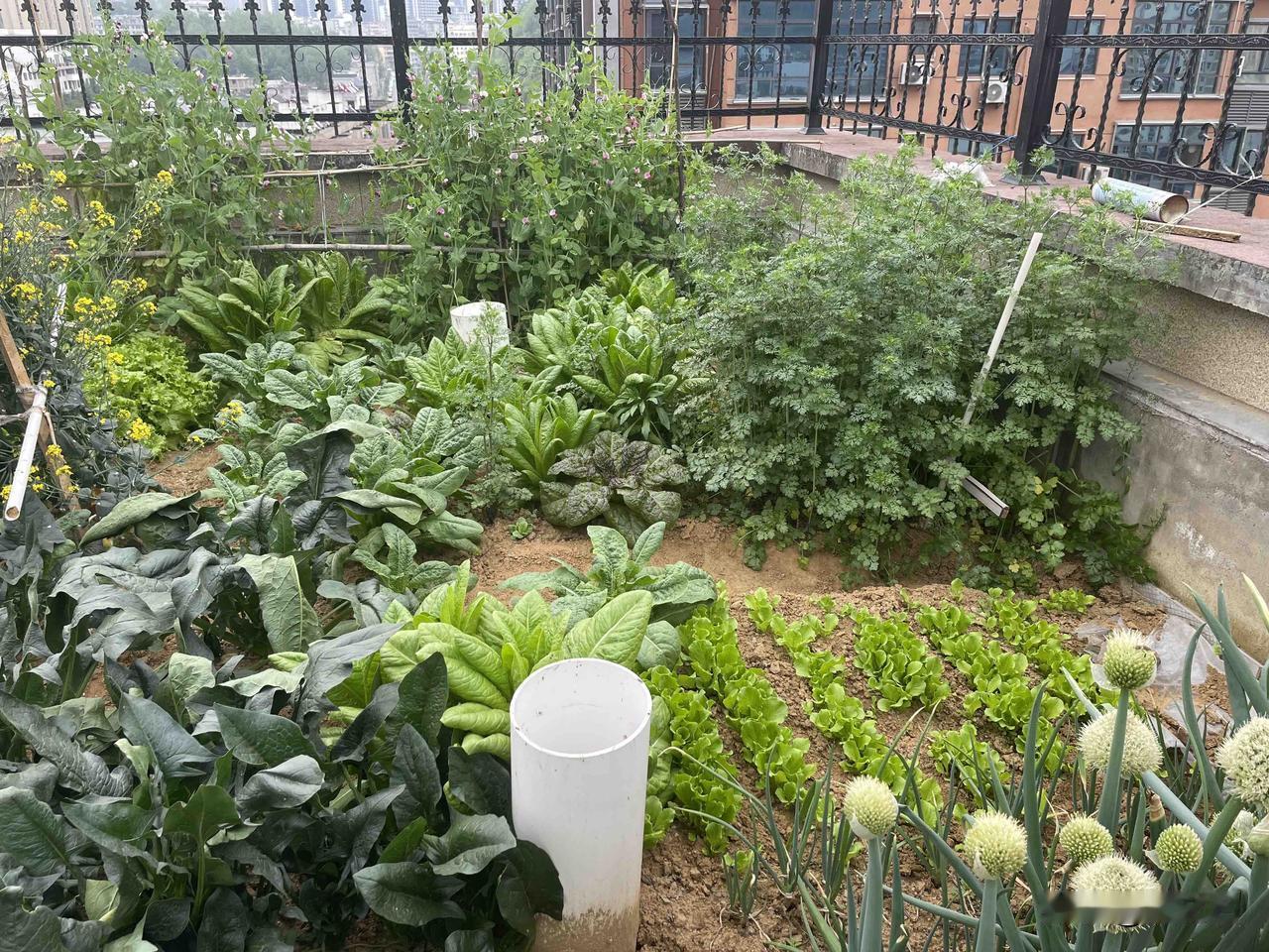 被指不务正业玩手机，外卖小哥一句话让全场沉默那天暴雨如注，商场门口挤满了躲雨