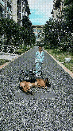 在小区一隅，一场闹剧正悄然上演……小姑娘骑车不慎剐蹭到德牧犬，狗狗秒躺倒地上奄奄