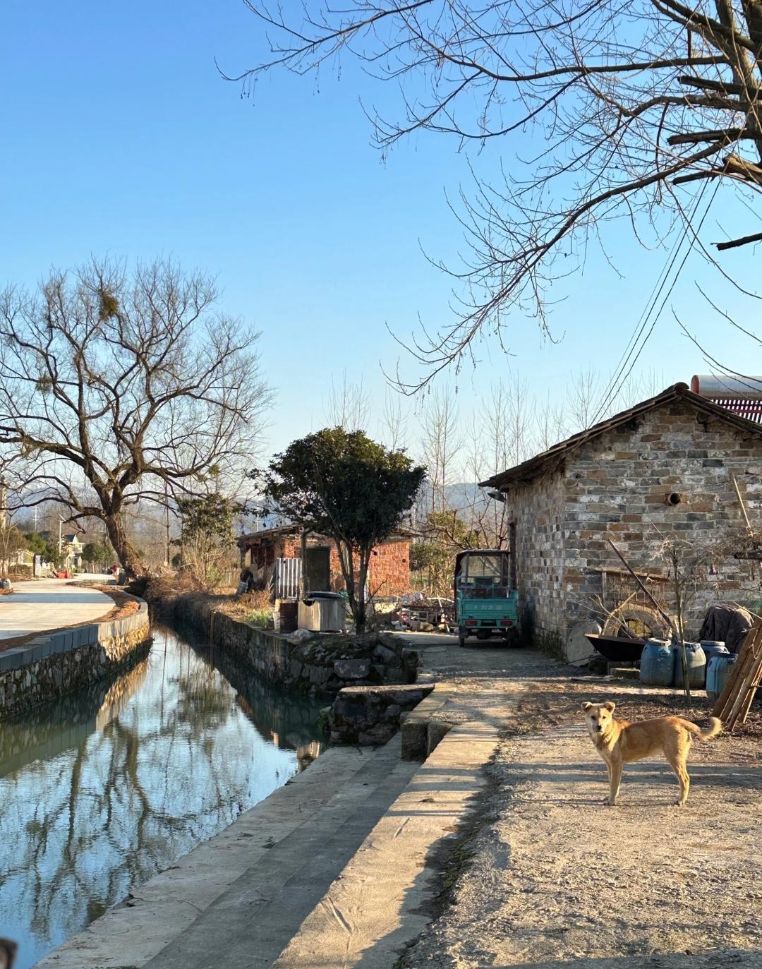 村里那个疯了十年的民办教师，曾是多骄傲聪明的人，却因一场变故失了神智。可某天他突