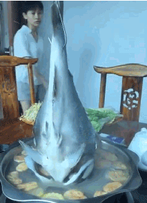 这是属于什么吃法