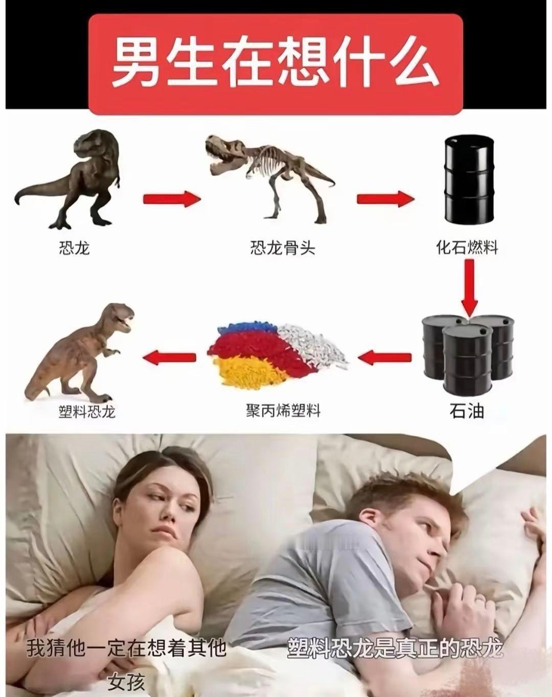 一大早看到这个图～[666][666][666]嗯嗯，塑料恐龙是真的恐龙～​​