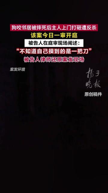 邻里因为狗闹到出人命，今天开庭的细节太让人心里不是滋味！被告人说“我被砸