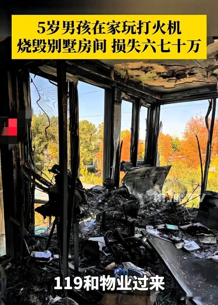 别墅起火，损失60多万。失火的原因，想过是电路起火，也想过是有不怀好意的人故意纵