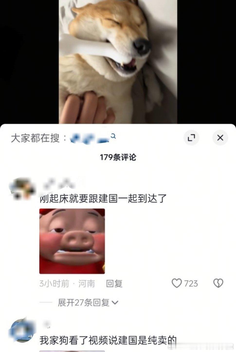 抖人啥时候能停止对动物开/黄//腔