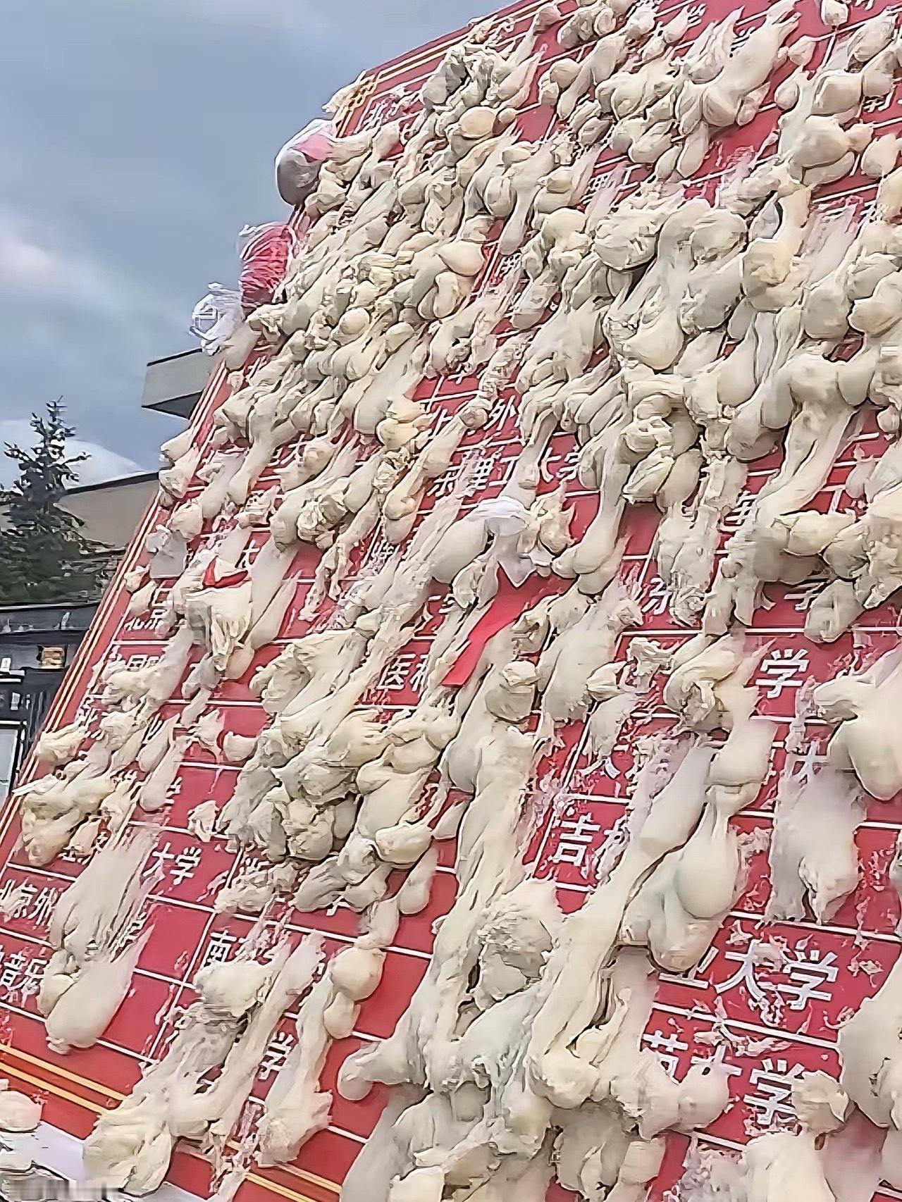 虽然知道只是个入学仪式，但是是不是有点浪费了？