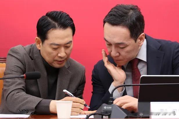 2月10日韩国国民力量党最高委员金敏秀公开表态，靠“尹回归”无法赢得地方选举，并